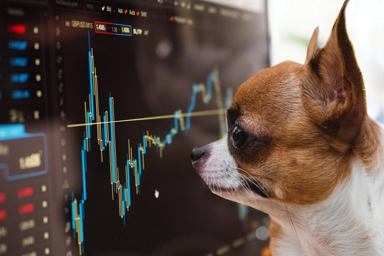 Wall Street Wauzi Ein Hund und die Börse Alpspitze Tagebuch